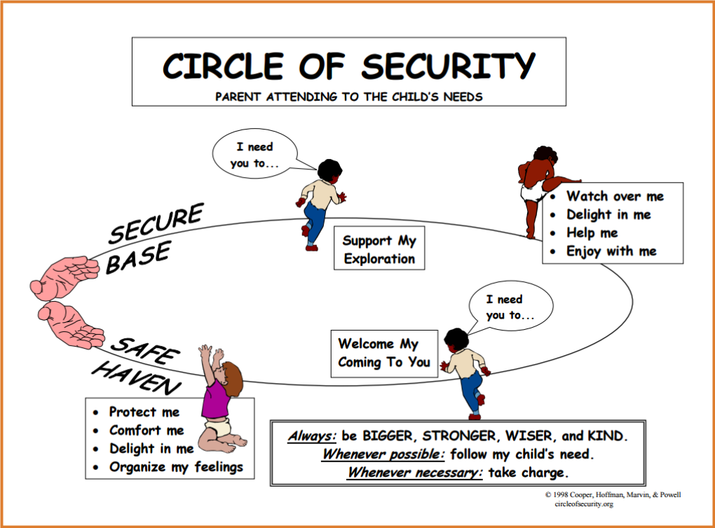Understanding the Circle of Security Parenting Insights